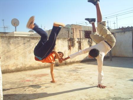 fassi  et  raid